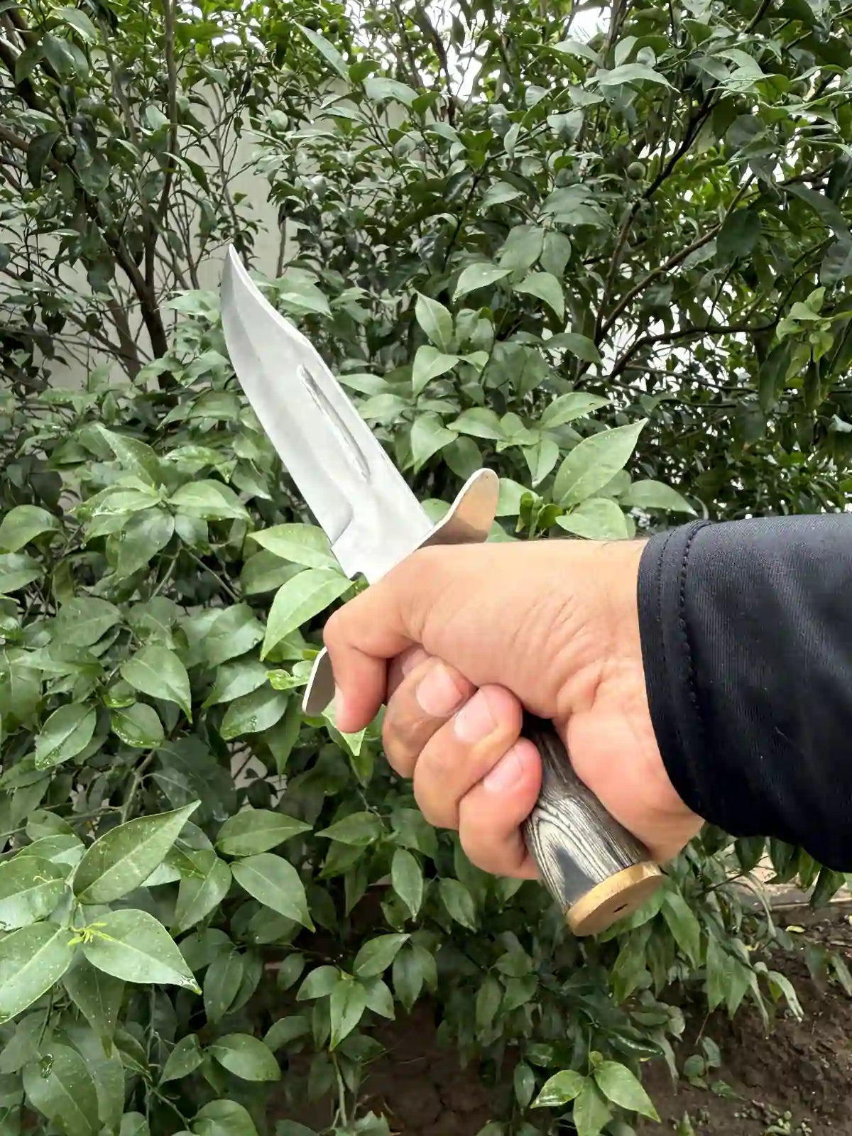 Tactical Compact Dagger