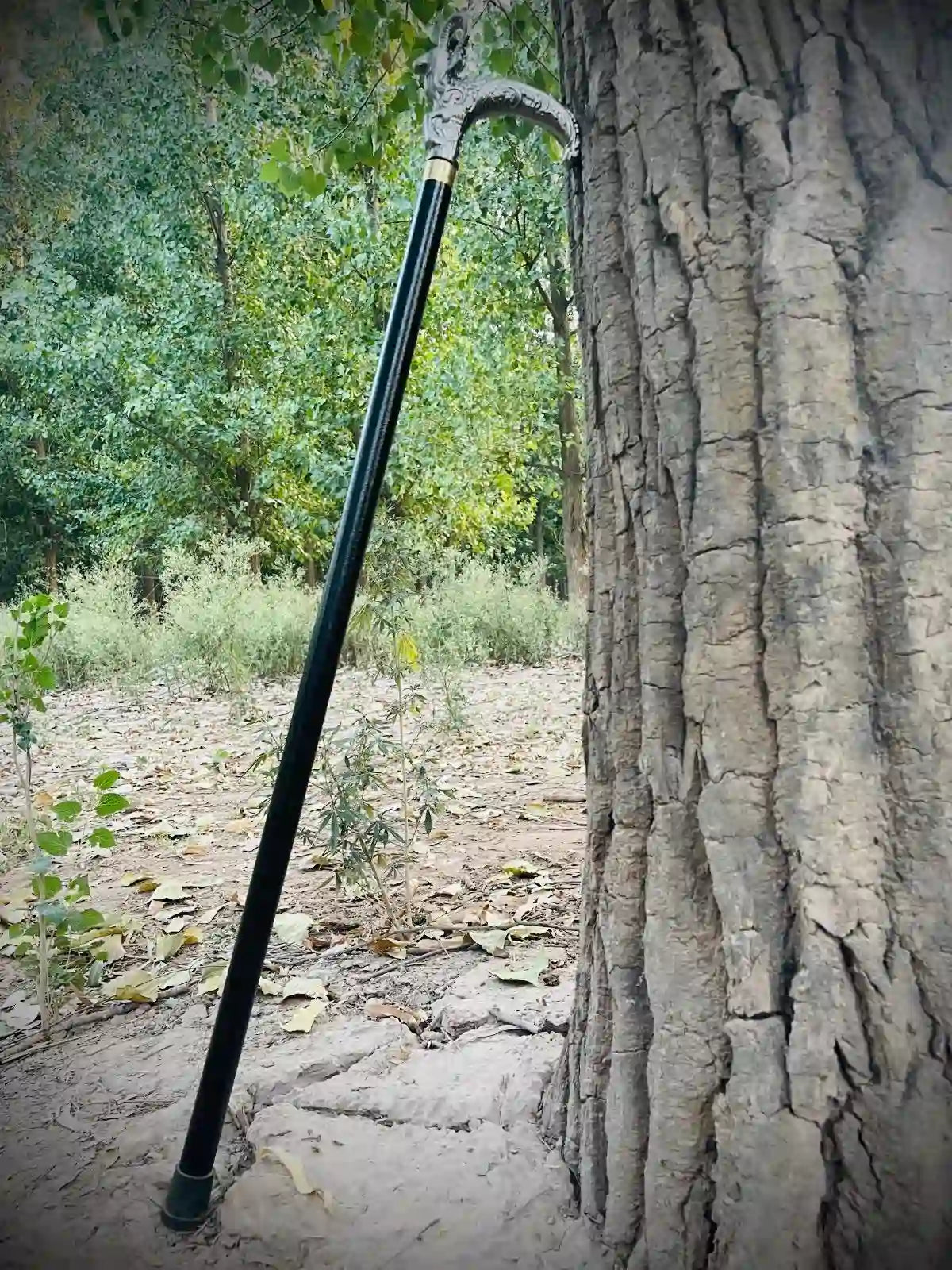 Premium Markhor Stick Walking Cane