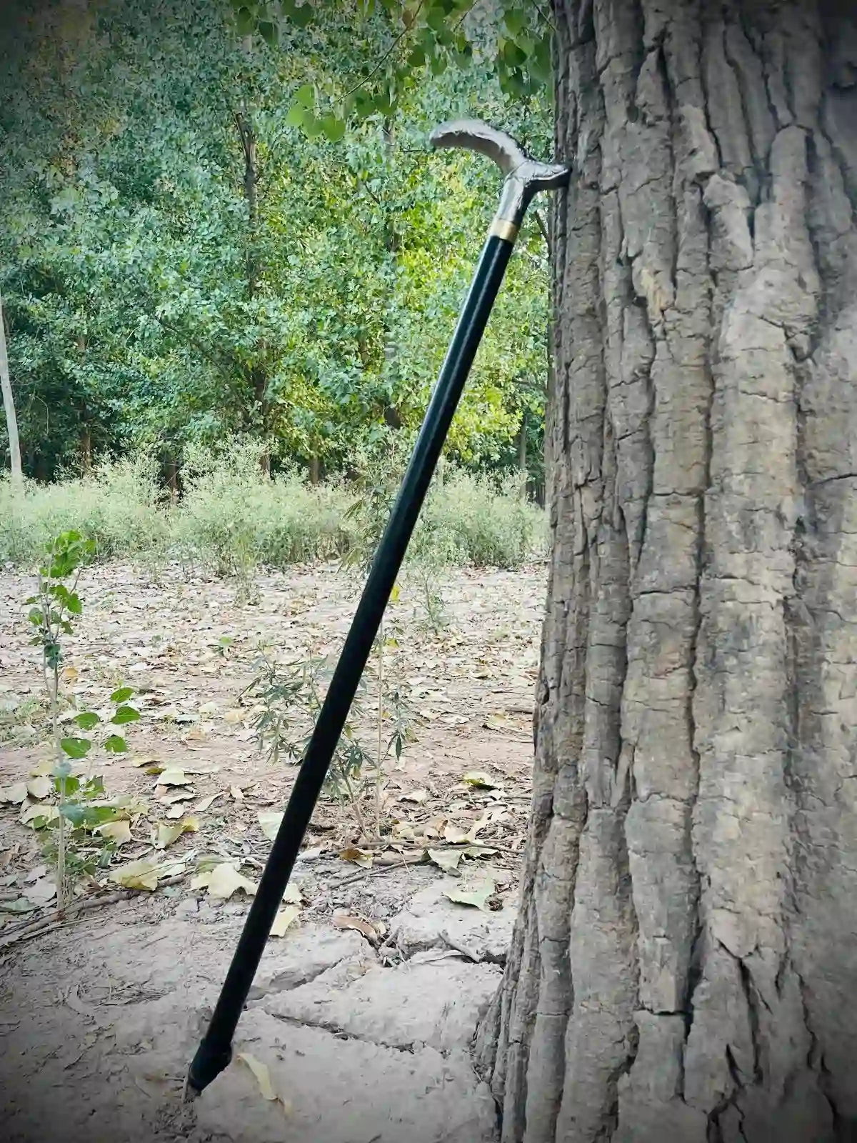 Premium Walking Cane