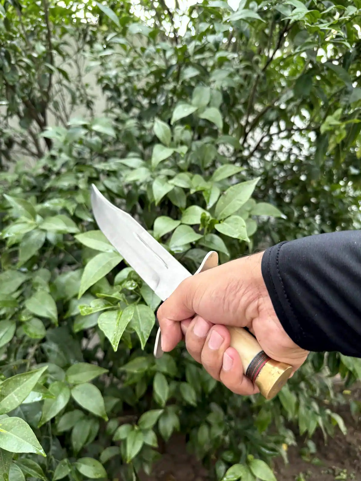 Bone Dagger