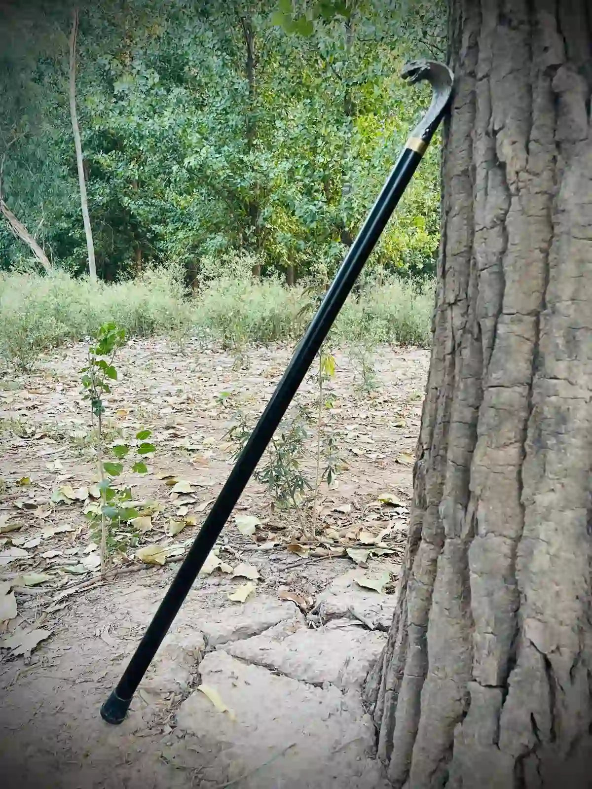 Premium Cobra Head Stick | Walking Cane |