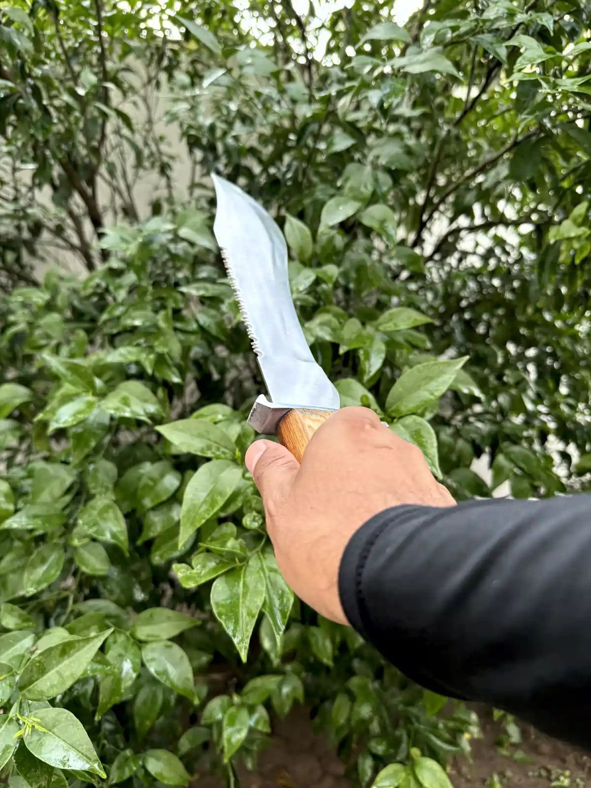 Natural Wood Dagger