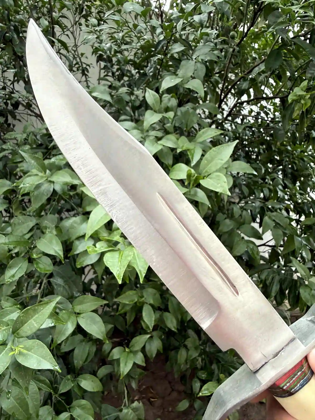 Bone Dagger