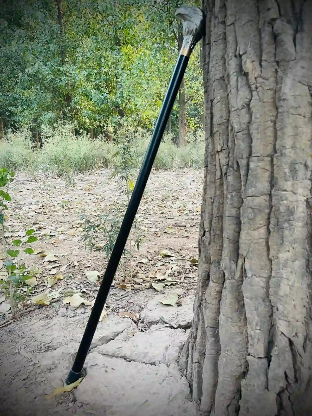 Premium Eagle Head Walking Cane