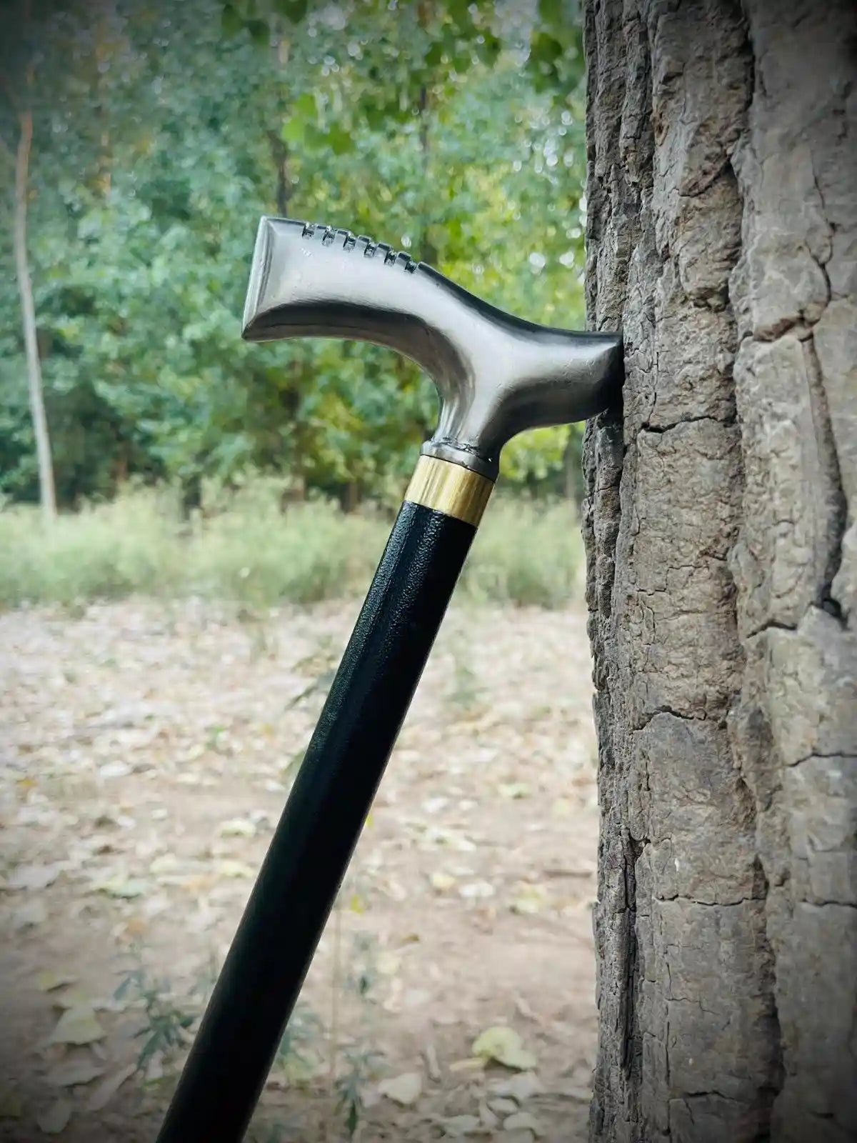 Premium Walking Cane