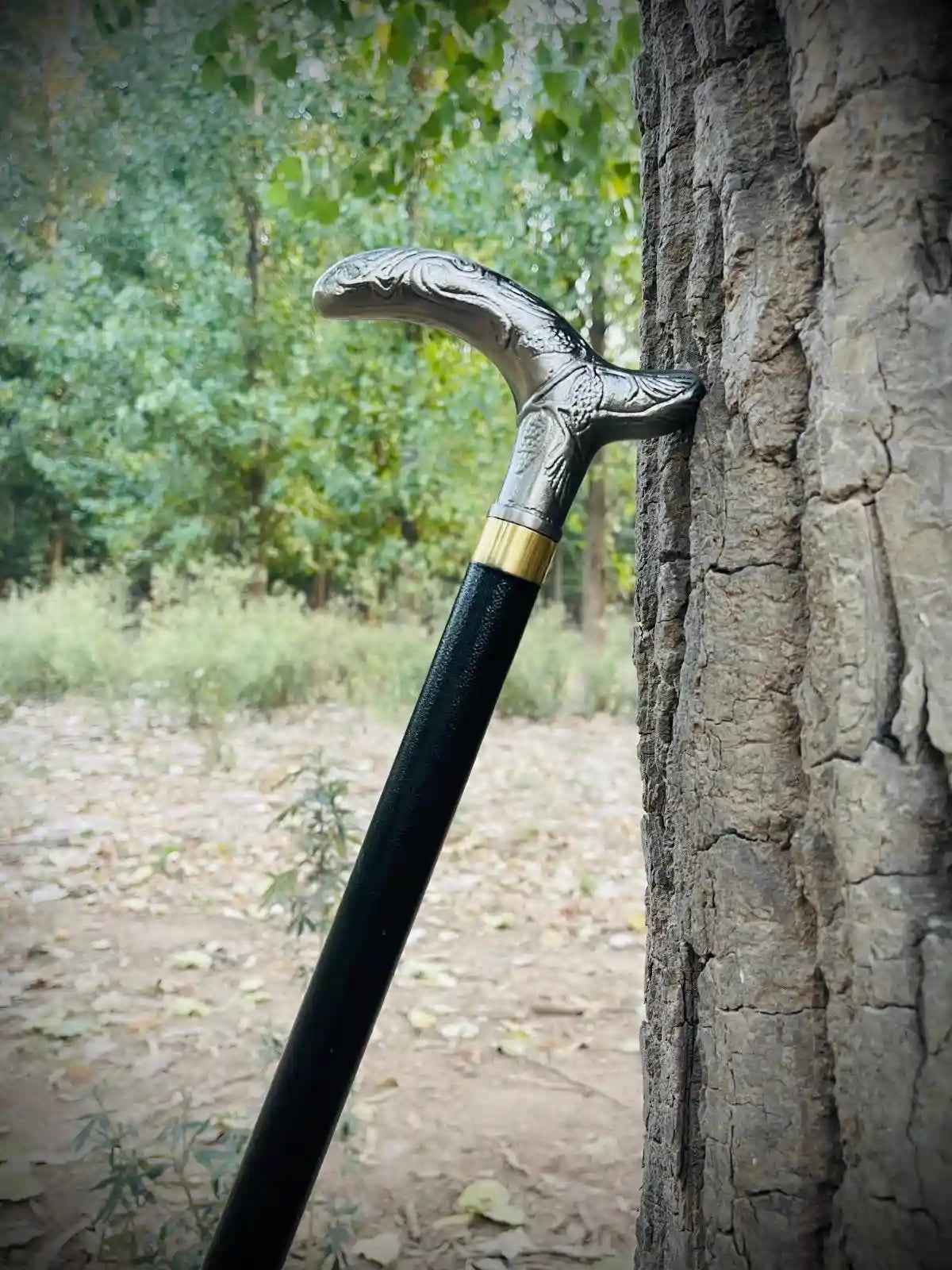 Premium Walking Cane