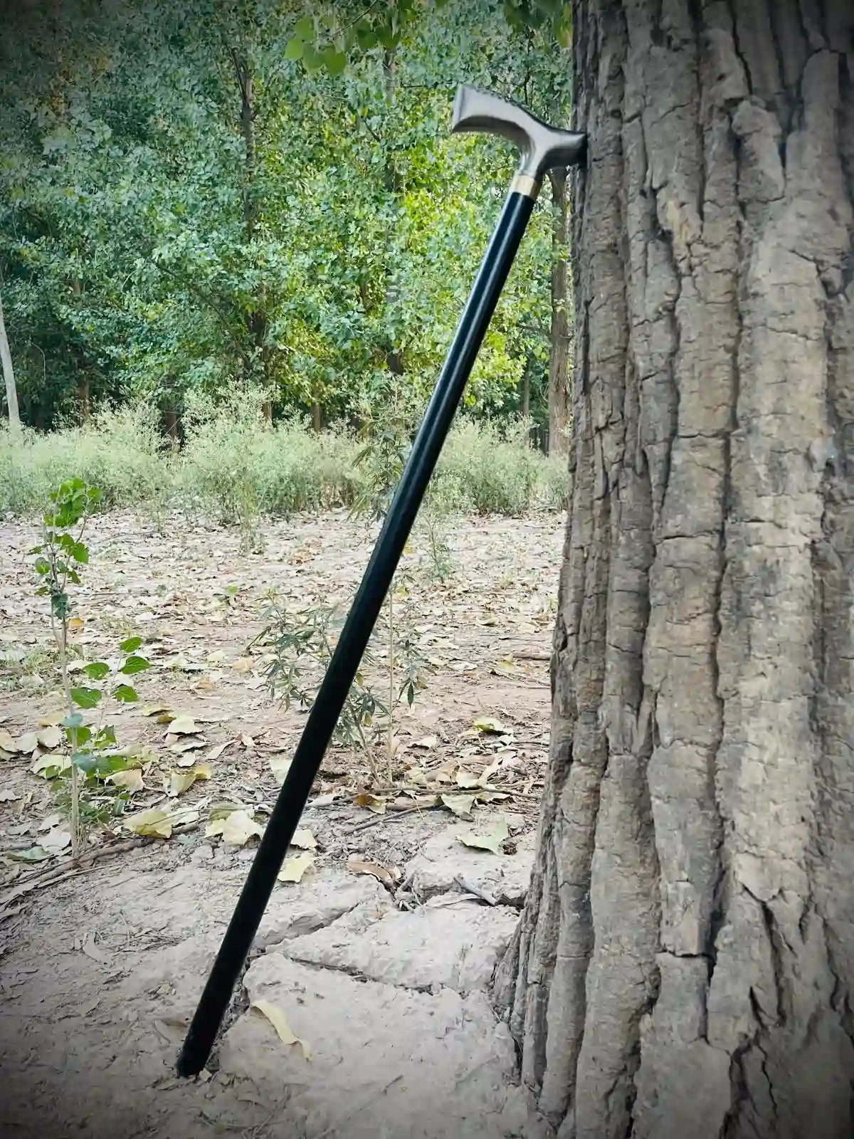 Premium Walking Cane